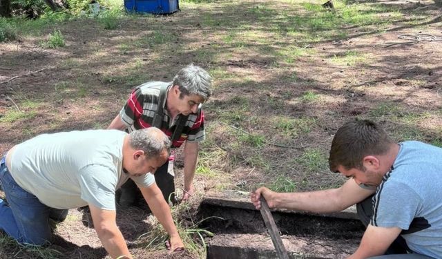 Çukura düşen yabani at kurtarılarak doğaya salındı
