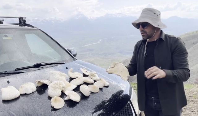 Dağlarda kendiliğinden yetişiyor, kilosu bin 250 TL’den satılıyor