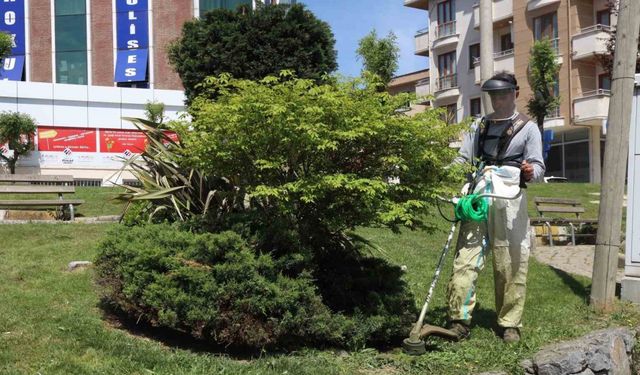 Darıca’da yeşil alanlarda bahar mesaisi