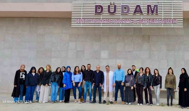 Deneysel çalışmalara kazandırıldı