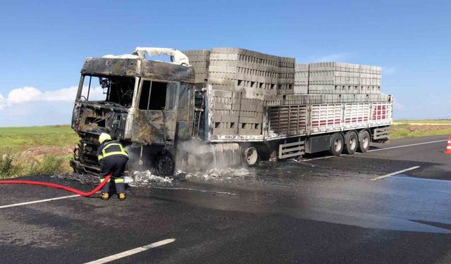 Diyarbakır’da seyir halindeki tuğla yüklü kamyon alev topuna döndü