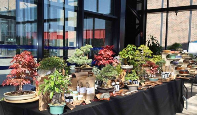 Doğa ve sanat tutkunları bonsai sanatı ile tanıştı