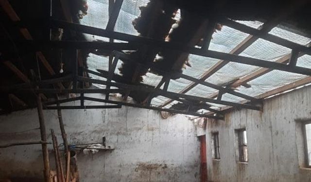Elazığ’da etkili olan fırtına ahırın çatısını uçurdu