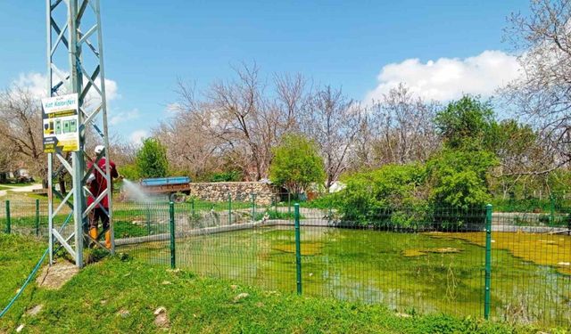 Elazığ’da larva ilaçlama çalışmaları sürüyor