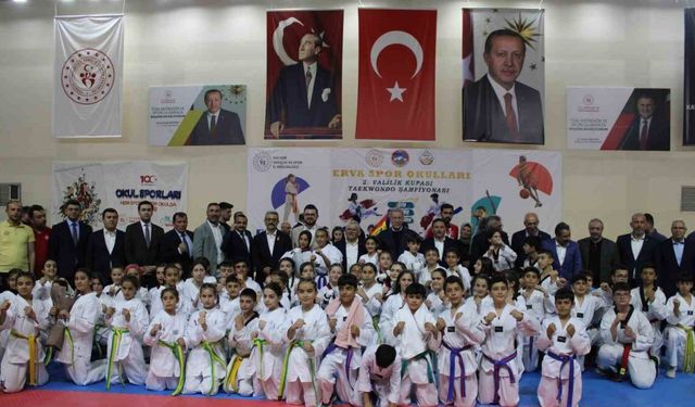 Erva Spor Okulları 2. Valilik Kupası Taekwondo Şampiyonası yapıldı