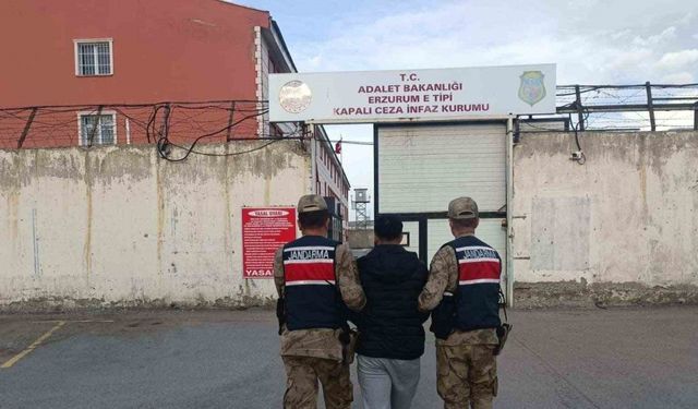 Erzurum’da jandarmadan aranan şahıslara operasyon