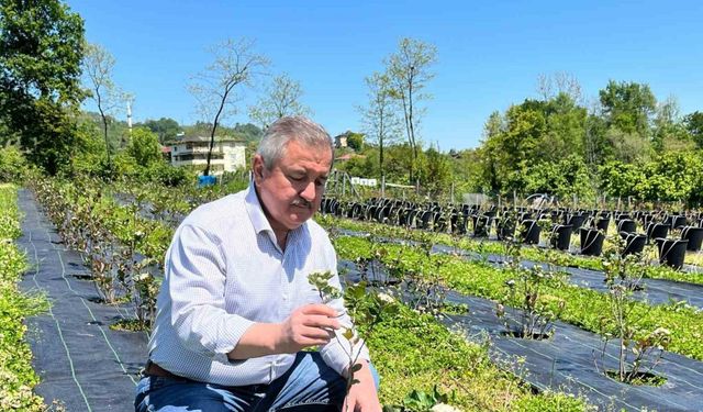 Eski başkanın "şifa bahçesi": Siyasi yorgunluğu tıbbi aromatik bitkilerle atıyor