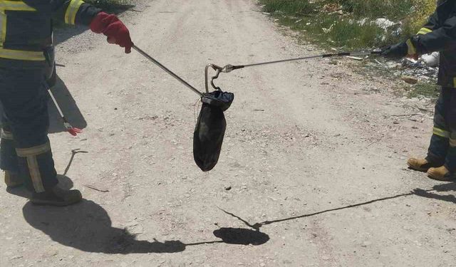 Gediz’de baharın gelmesiyle yılanlar görülmeye başladı