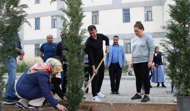 Hakkari’de fidan dikimi