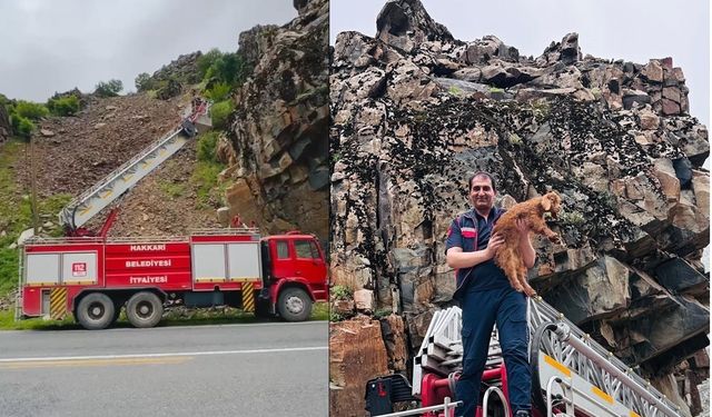 Hakkari’de kayalıklarda mahsur kalan keçi yavrusu kurtarıldı