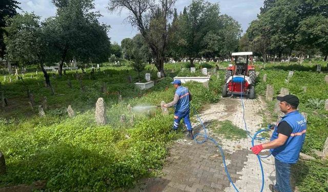 Hamzabali Mezarlığı bakıma alındı