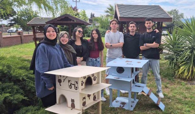 Havran MYO öğrencilerinden kedilere sıcacık yuva