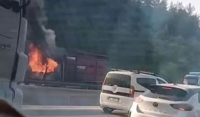 Hayvan yüklü kamyon alevlere teslim oldu