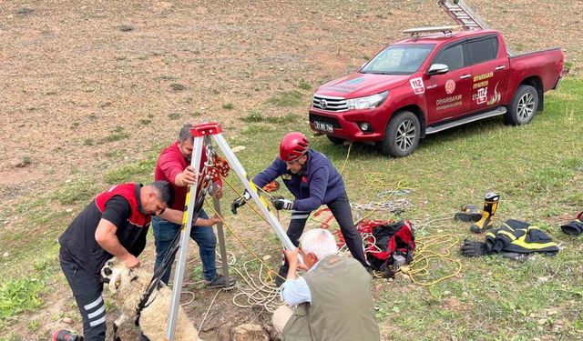 İtfaiye ekipleri kuyuya düşen koyunu kurtardı