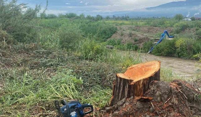 Kamuya ait alanda ağaç kesen şüpheliler yakalandı