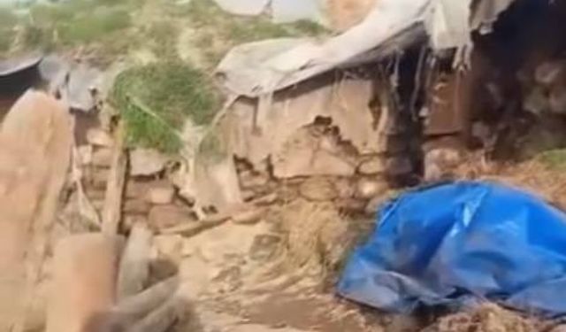 Kars’ta ahır çöktü: Büyükbaş hayvanlar telef oldu