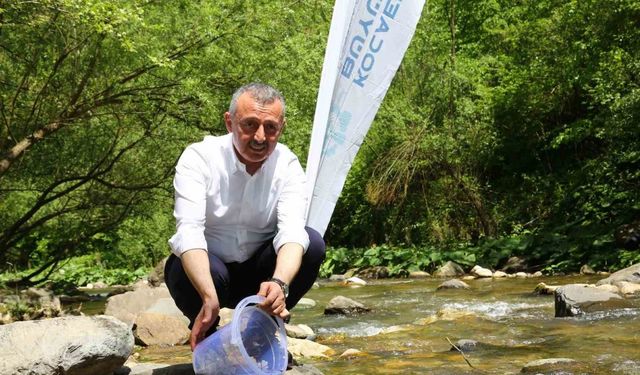 Kirazdere’ye 8 bin alabalık bırakıldı