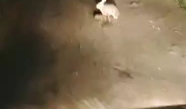 Korkmadı, kaçmadı... "Ana yüreği korku tanımaz"