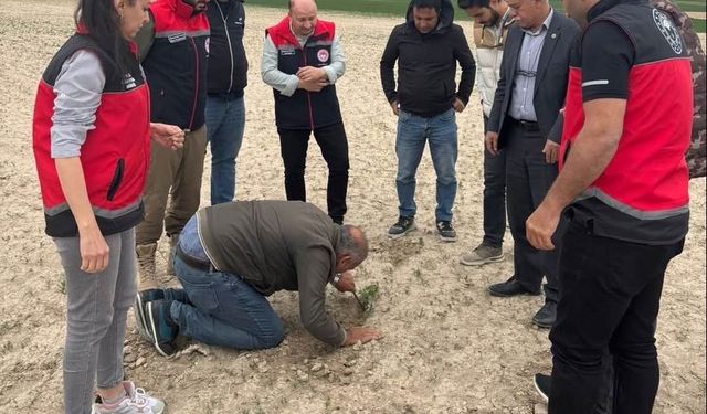 Kulu’da tarım alanlarında kontroller devam ediyor
