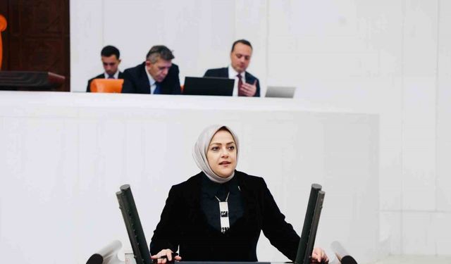 Milletvekili Ün, "Kadınların ev içi emeği mutlaka karşılık bulmalıdır"