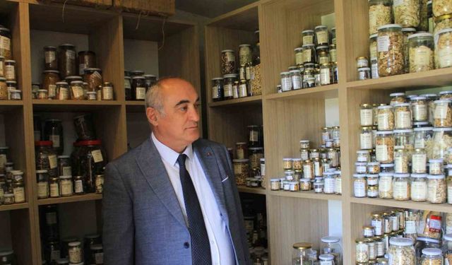Nilüfer Belediyesinin de öncülerinden olduğu yerel tohum akımı büyüyor