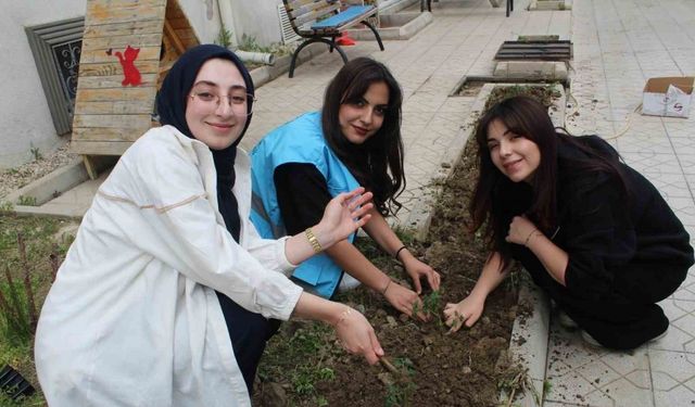 Öğrencilere hobi bahçesi kuruldu