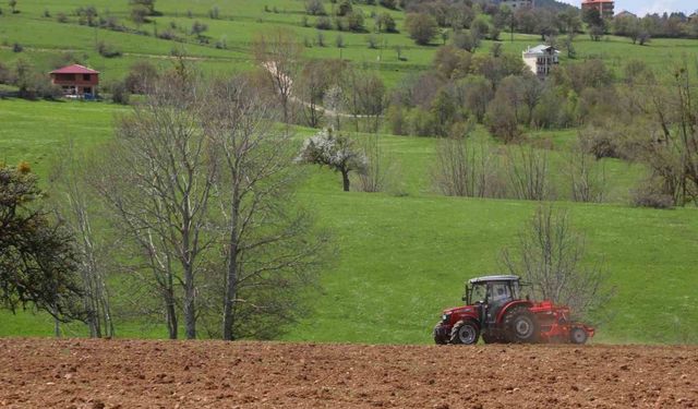 Ordu’nun atıl arazileri bereketleniyor: 34 bin 800 dekar atıl arazi tarıma kazandırıldı