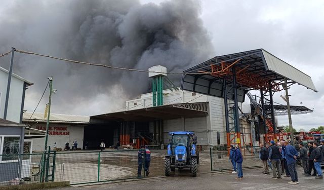 Sakarya’da fabrika yangını