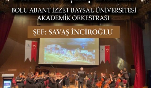 Sanatın kalbi Düzce’de ütacak