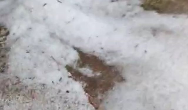 Seyitgazi 20 dakikada beyaza büründü