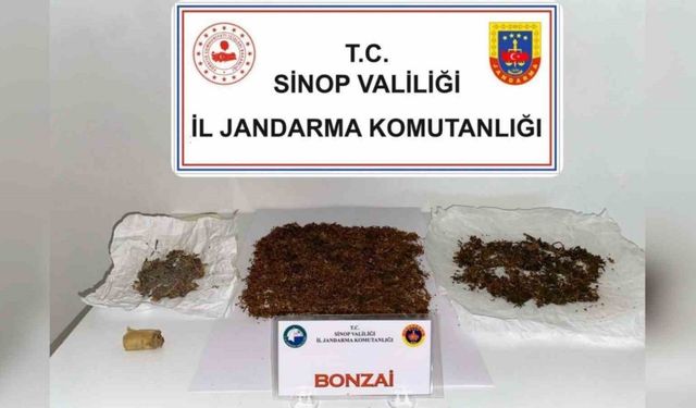 Sinop’ta zehir operasyonu