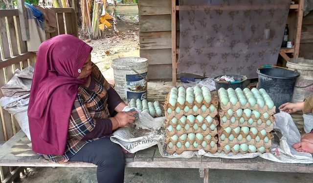 TİKA, Endonezya’da kırsal kalkınmayı destekliyor