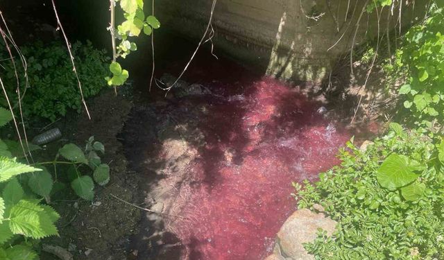 Turşu sulu renkli dereye çiftçiler de uzmanlar da tepkili