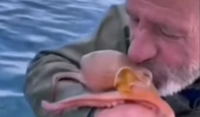 Yakaladığı ahtapotu öpüp sevdi, denize bıraktı