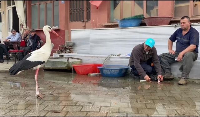 Yaren’in rakibi Bilal Leylek baba oldu