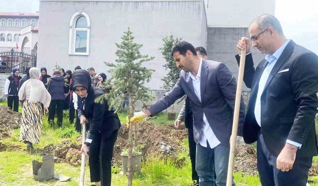 Yeşeren Umutlar, Filizlenen Gelecek