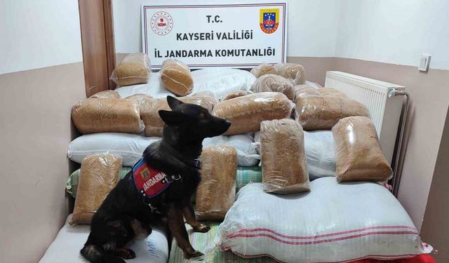 Yolcu otobüsünde 1 buçuk ton kaçak tütün yakalandı