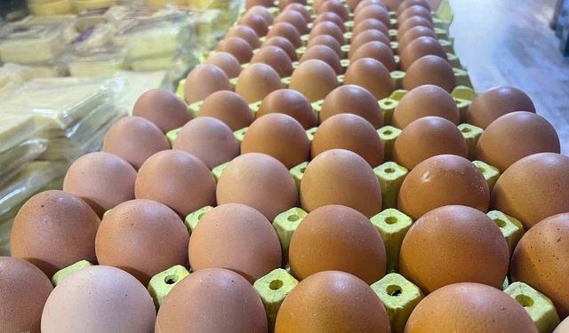 Yumurta kabuğu deyip geçmeyin sanayide çok değerli