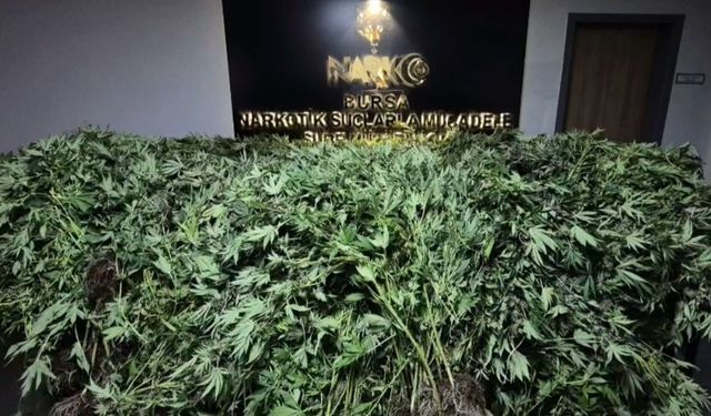 Zehir tacirlerine yapılan baskında 34 şüpheli tutuklandı