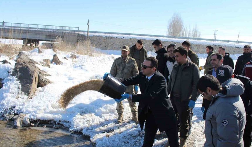 Çaldıran’da yaban hayvanları için doğaya yem bırakıldı