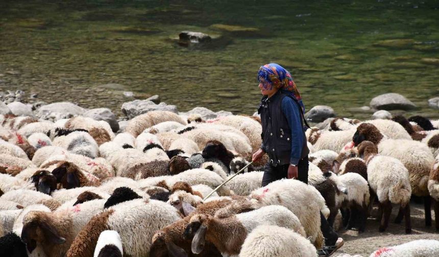 Bir çocuğun sessiz çığlığı: "Hiç oyuncağım olmadı"