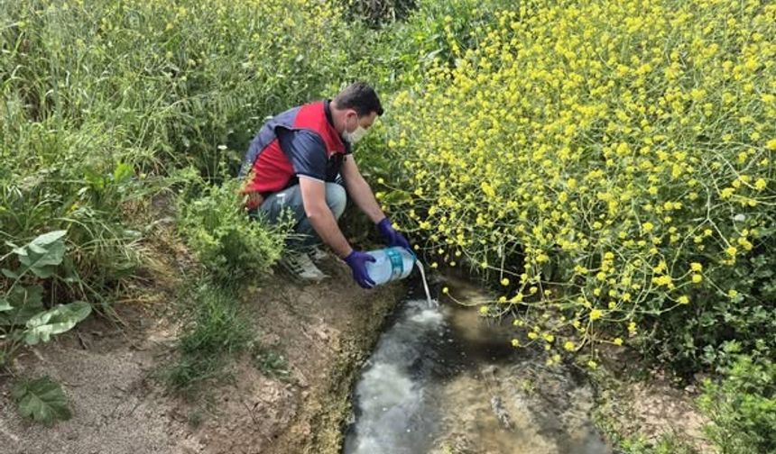 Çanakkale’de çeltik ekim alanlarında sivrisinek mücadelesi başladı