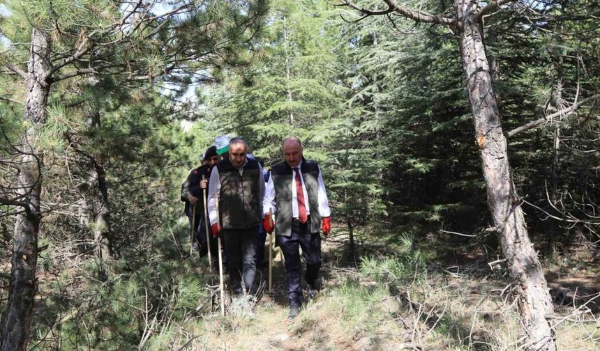 Çorum’da ormandaki çöpler için seferber olundu