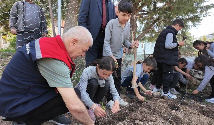 Eğirdir’de tıbbi aromatik bitkiler bahçesi açıldı