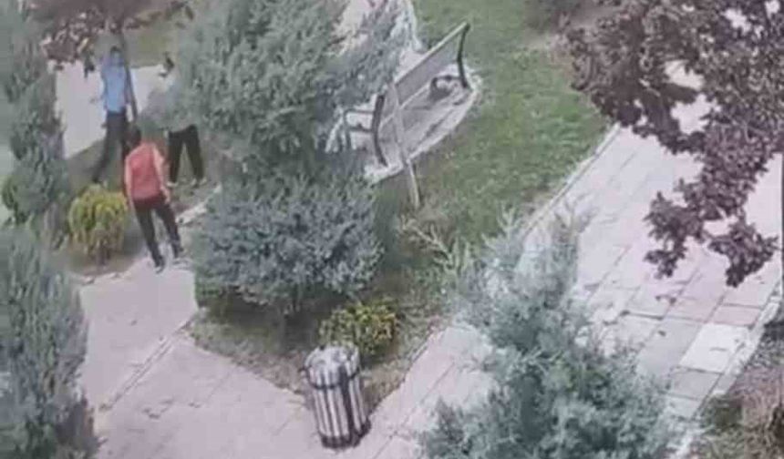 Mardin’de ağaçlara zarar veren bir grup genç, güvenlik kameralarına yakalandı