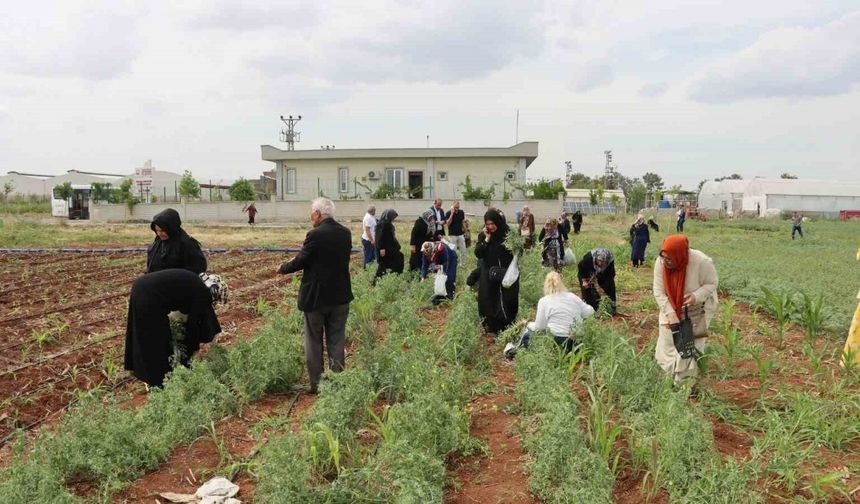 Şanlıurfa’da emekli kadınlara "süs bitkisi yetiştiriciliği eğitimi"