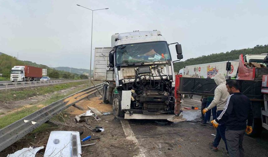 TEM’de sürücüsünün uyuduğu iddia edilen buğday yüklü tır devrildi